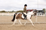 SBM_02791