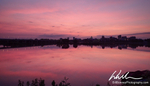 Pink Surise over Susquehanna