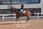 BPP_6263