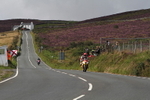 FOM_2675