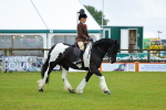 SBM_00966