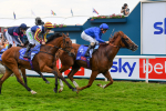 170623-Race 2-Wild Lion-0370