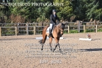 BPP_8082
