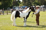SBM_04246