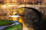 Bridge 24 (Snape's), Macclesfield Canal (4)