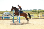 SBM_006330