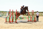SBM_006341