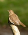 20110614-IMG_5803