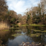 The Lost Gardens of Heligan