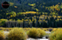 _DSC0638