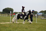 WJ6_0134