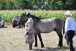 WJ6_4987