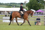 SBM_15991