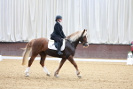 SBM_000057