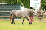 SBM_04087