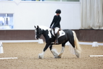 SBM_000449
