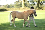 SBM_15841