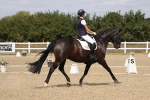 SBM_021925