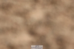 250622-093236-13545
