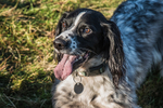 Dunnerdale-1068