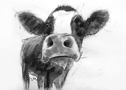 limited edition prints portfolio