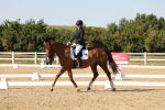 SBM_006874