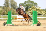 SBM_004331