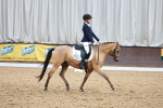 SBM_011511