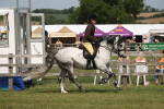 SBM_07592