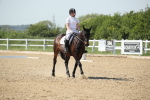 SBM_009993