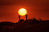 Holding the sunshine - D75_7923