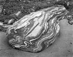 0852 - Gneiss Boulder