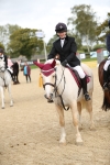J30 - Senior Horse & Pony 70cm Championship portfolio