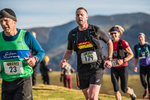 Sale Fell-441