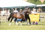 SBM_09073
