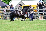 SBM_05871