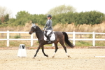 SBM_000542