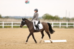 SBM_006881