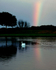 Rainbow at the Curlie