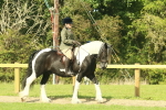 SBM_67389