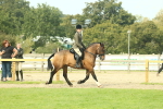 SBM_68260