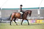 SBM_13178
