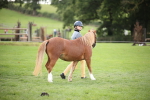 SBM_44364