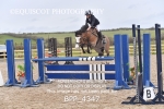 BPP_4347