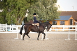 SBM_09189