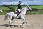 BPP_1519
