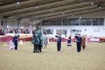SBM_10203