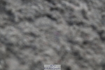 240609A-111356-04253