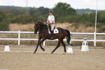 SBM_009071