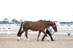 SBM_04995